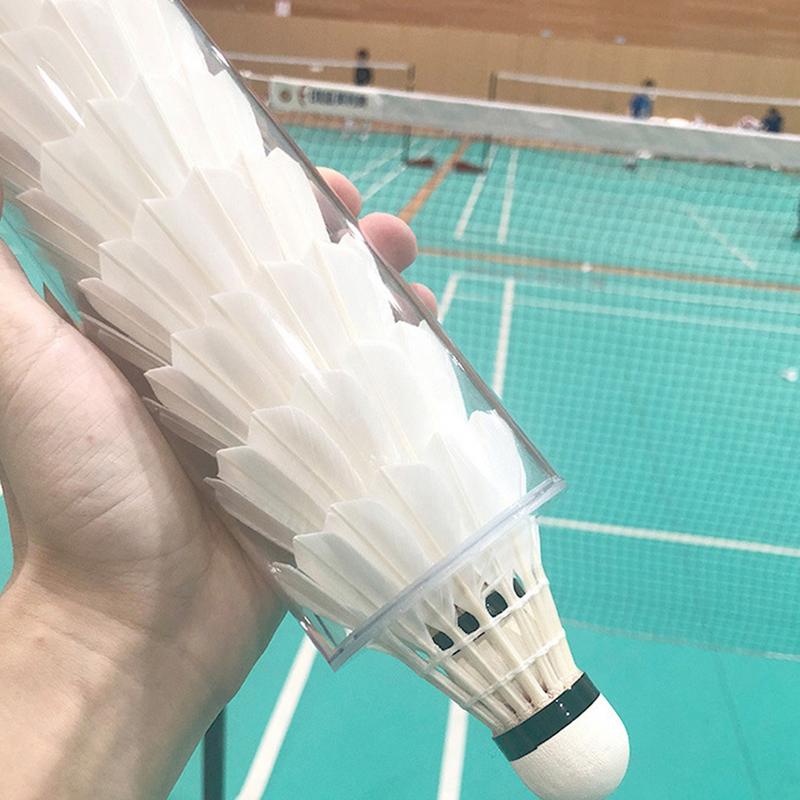 Federbälle Aufbewahrungsrohr B – Badminton Shuttlecock Bewertung und Preis